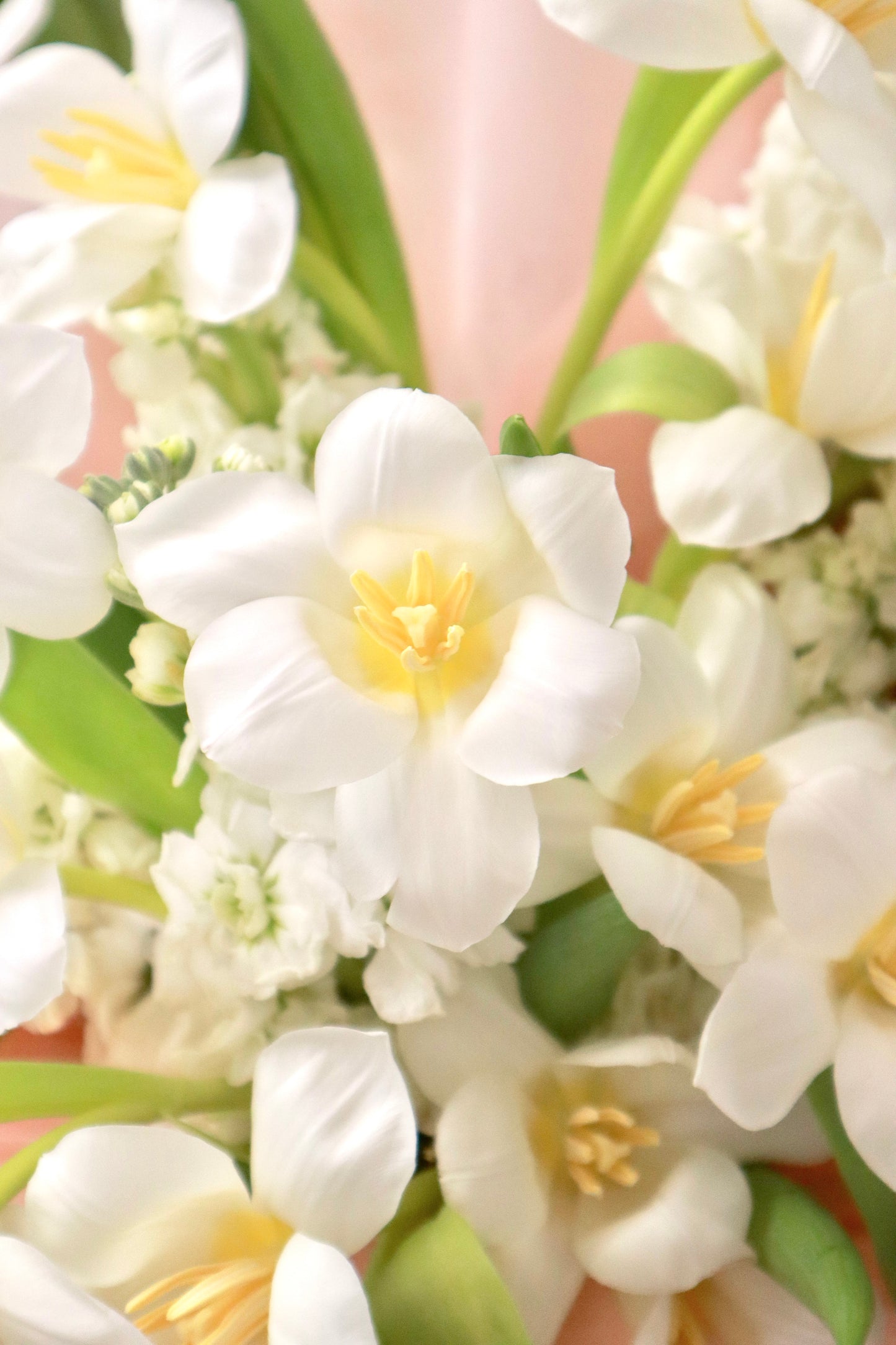 White Delight Mixed Tulip Bouquet