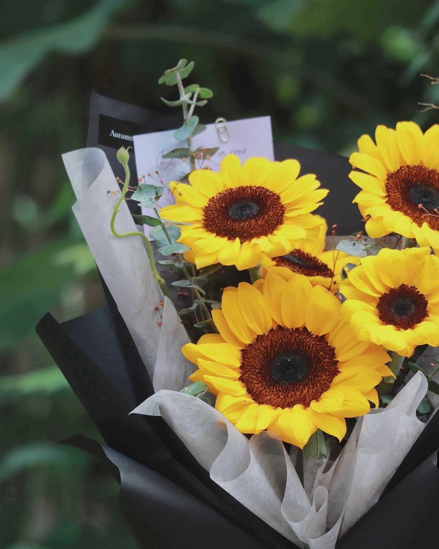 Solara Sunflower Bouquet