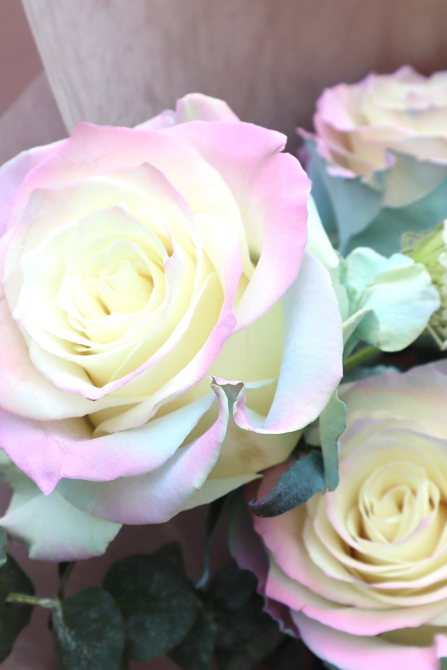 Ethereal Rosy Rose Bouquet