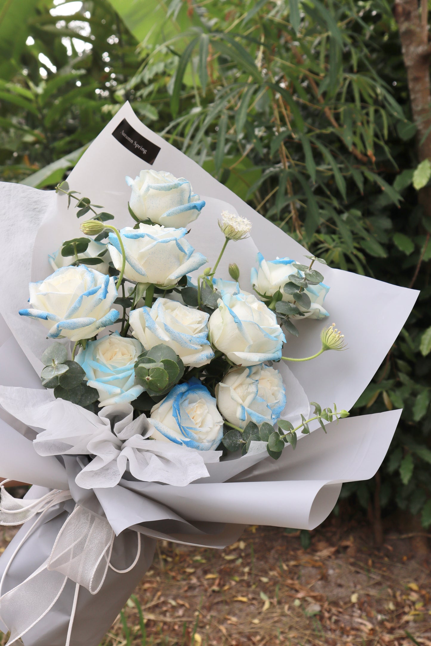 Lumiere Blue Sprayed Rose Bouquet