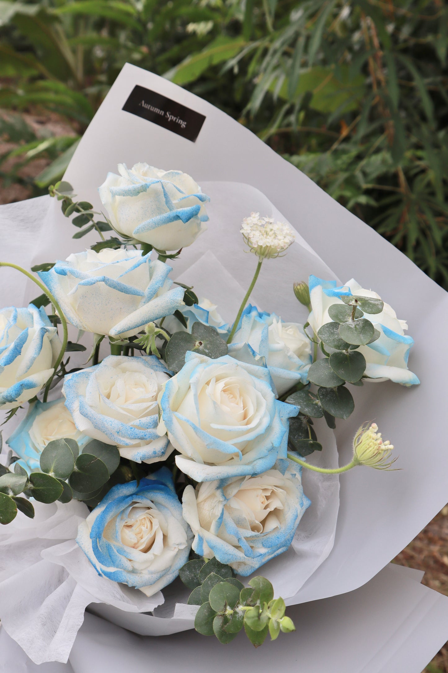 Lumiere Blue Sprayed Rose Bouquet