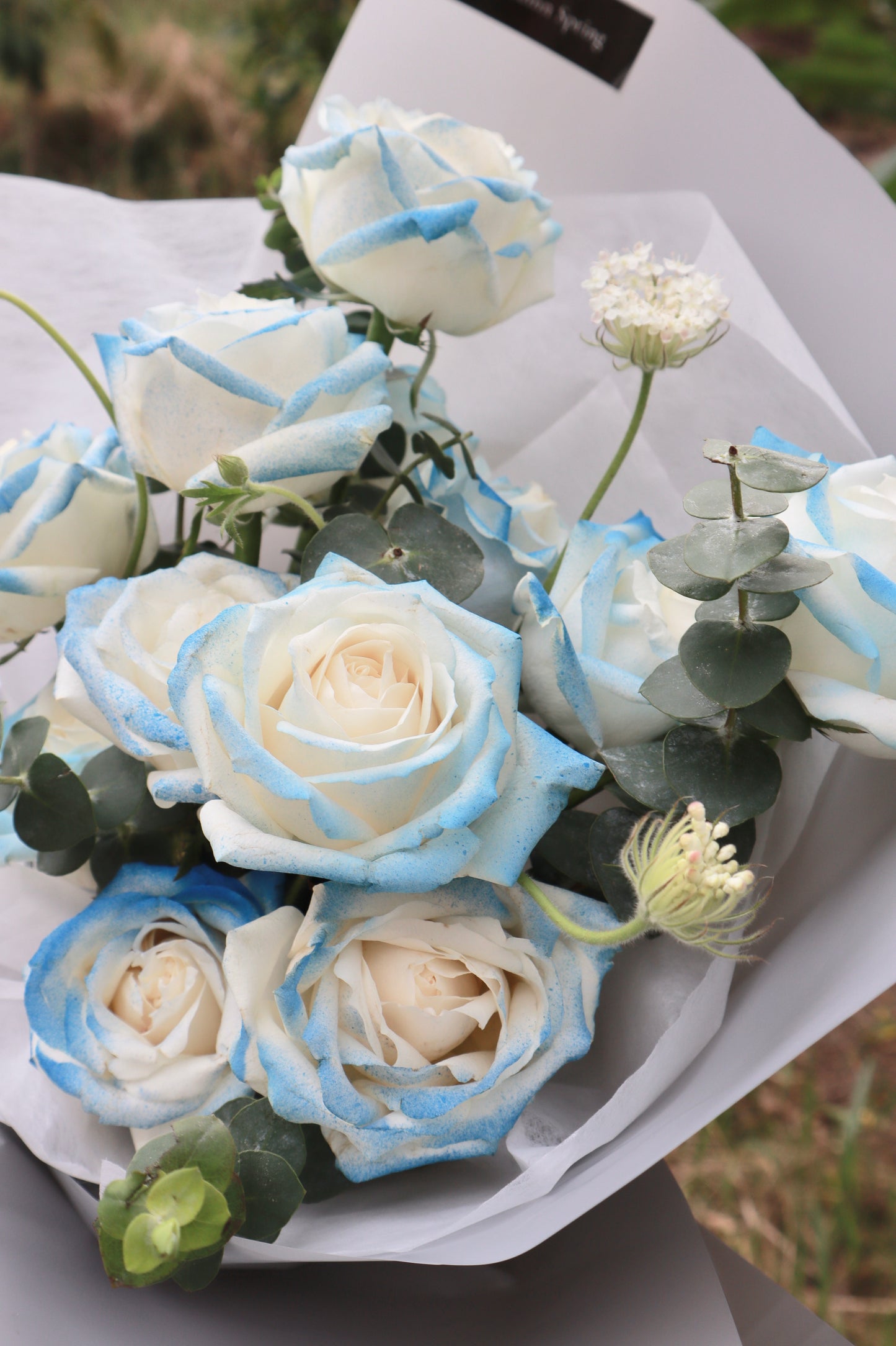 Lumiere Blue Sprayed Rose Bouquet