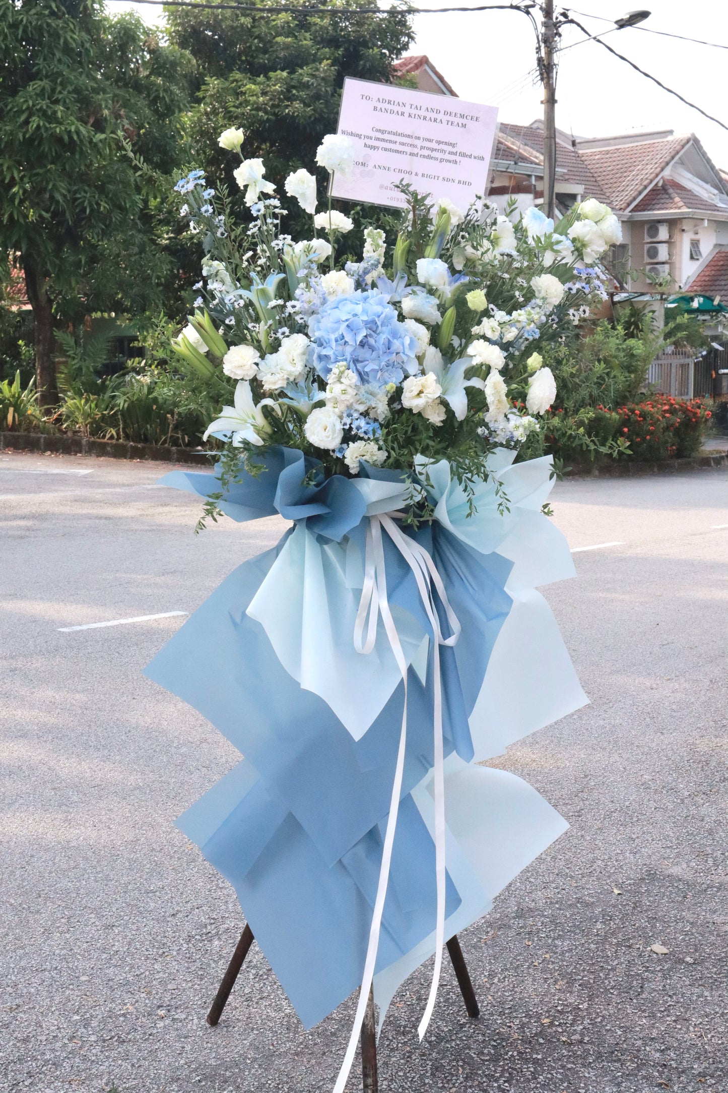 Floral Elegance Grand Opening Stand