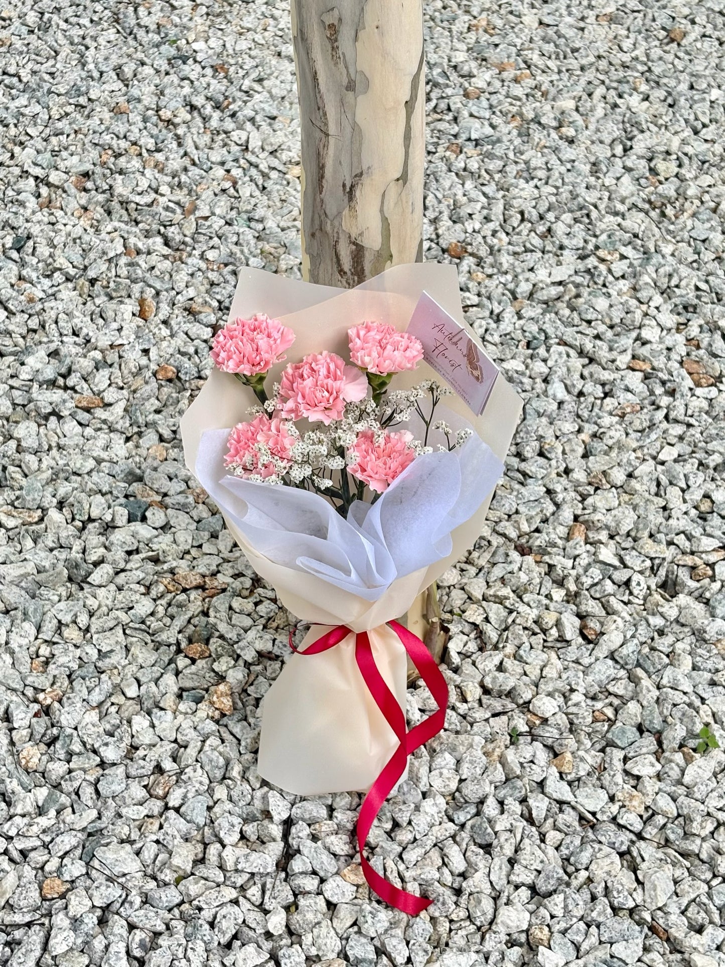Cherished Love Pink Carnation Flower Bouquet
