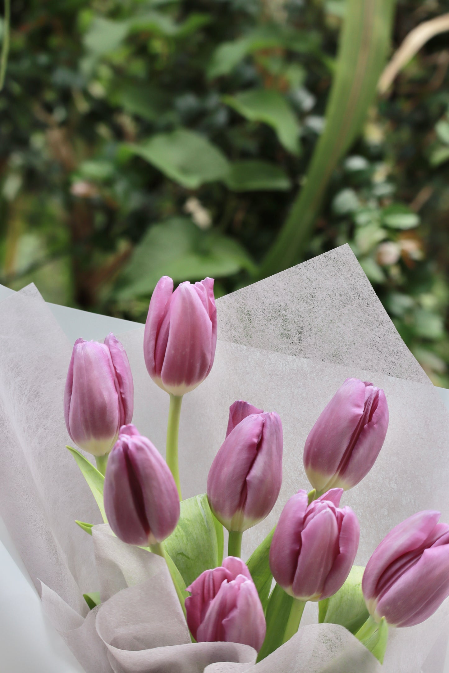 Viola Purple Tulip Bouquet