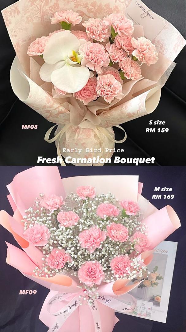 MF09- Fresh Carnation-M Size