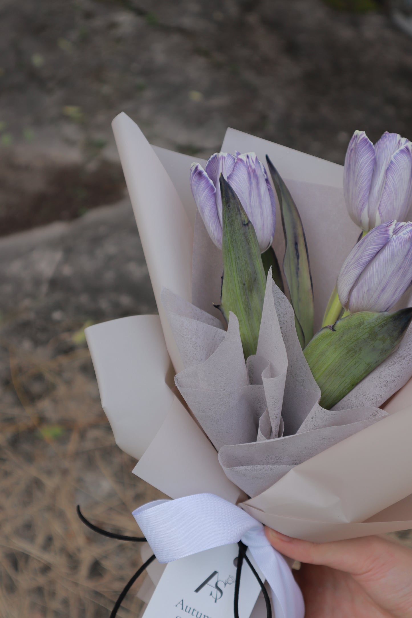 Amethyst Dyed Purple Tulip Bouquet