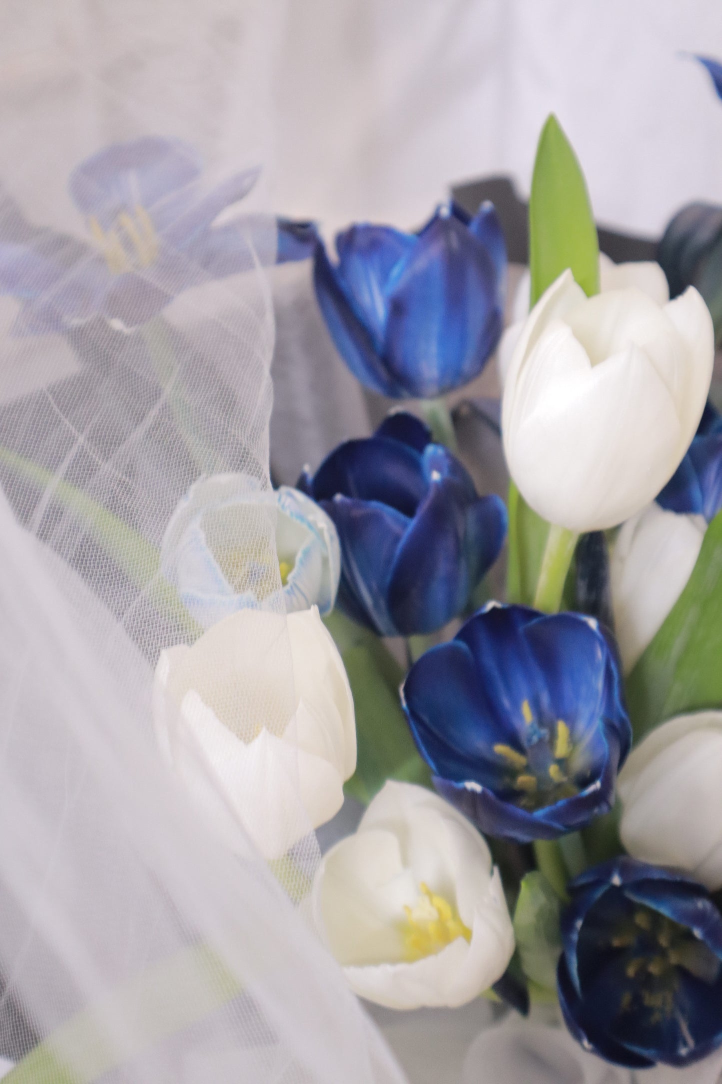 Cosmo Blue & White Tulip Bouquet