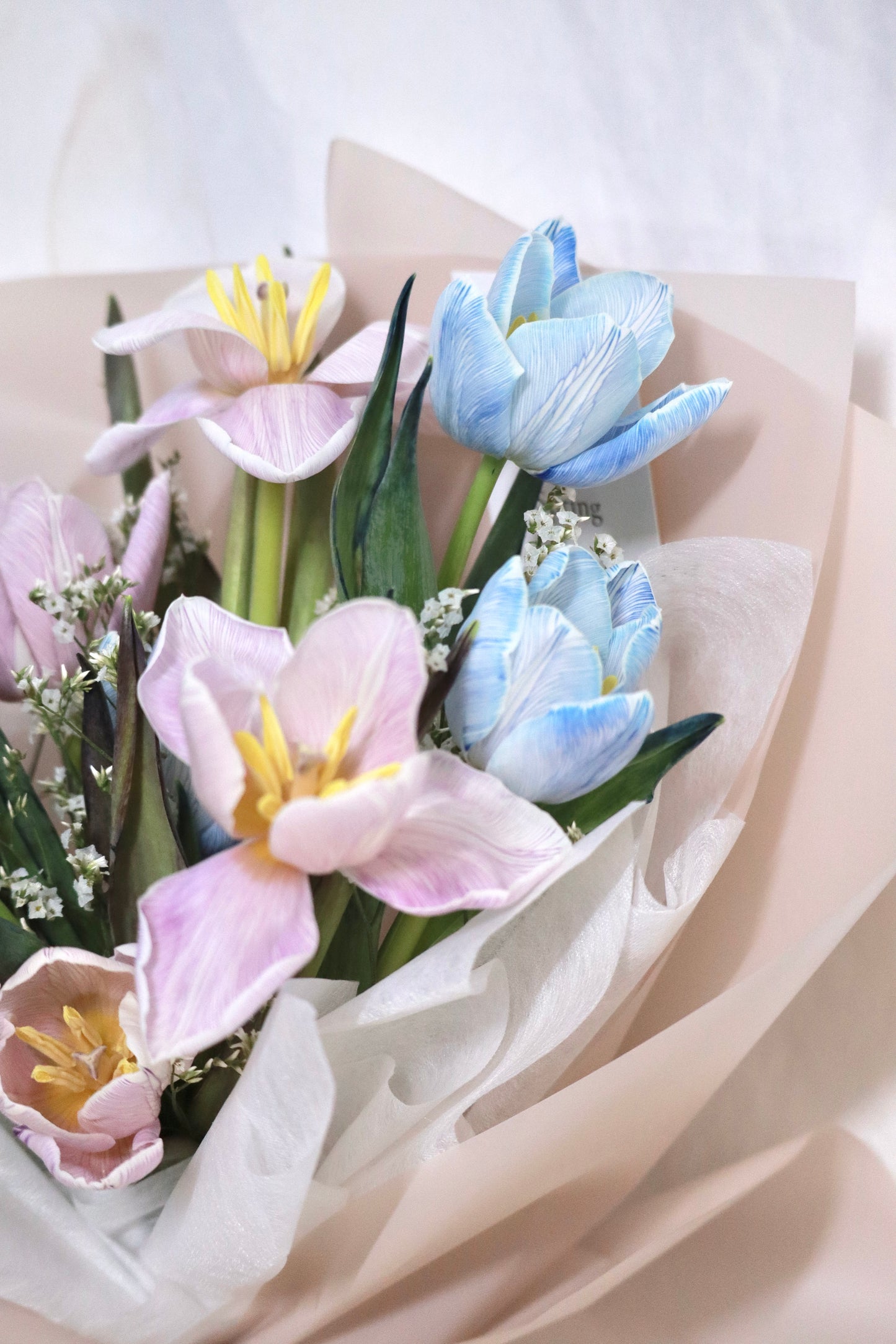 Candy Cloud Tulip Bouquet