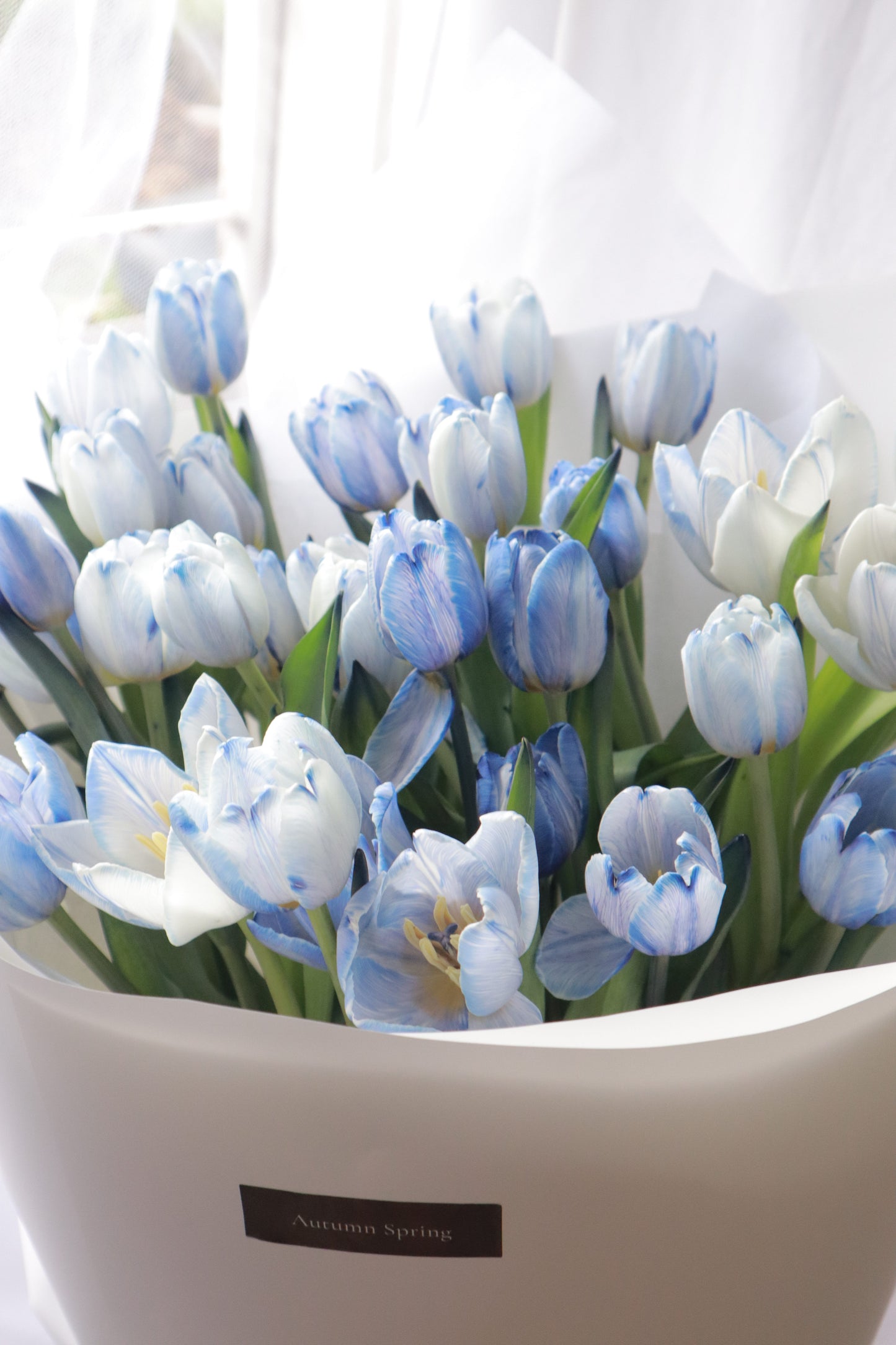 33  Pigment Blue Dyed Tulip Bouquet