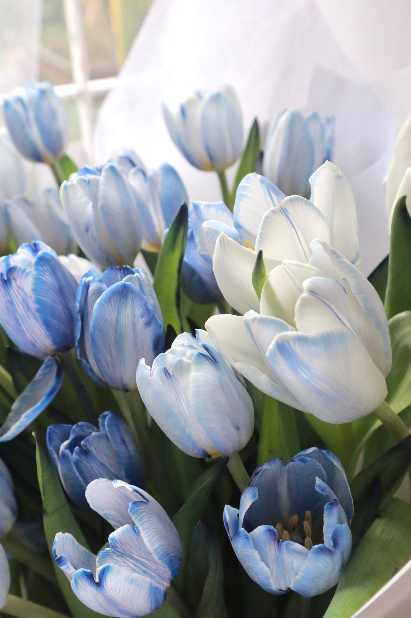 33  Pigment Blue Dyed Tulip Bouquet