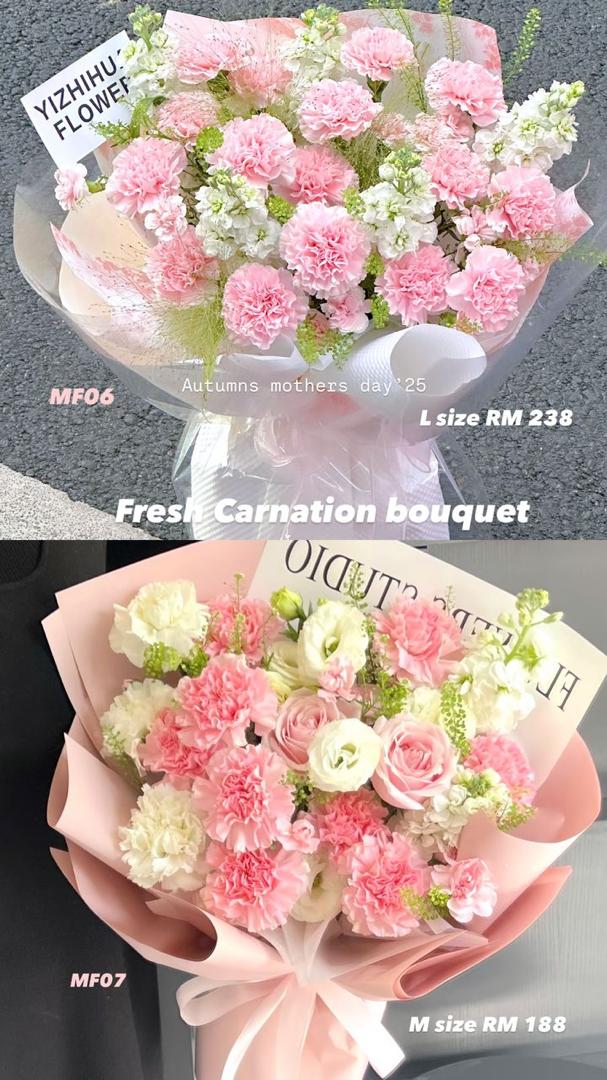MF07 - Fresh Carnation-M Size