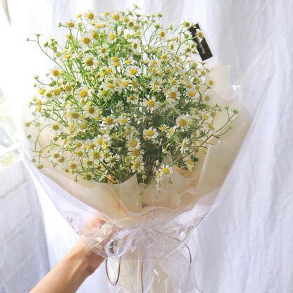 Sophie Chamomile Bouquet