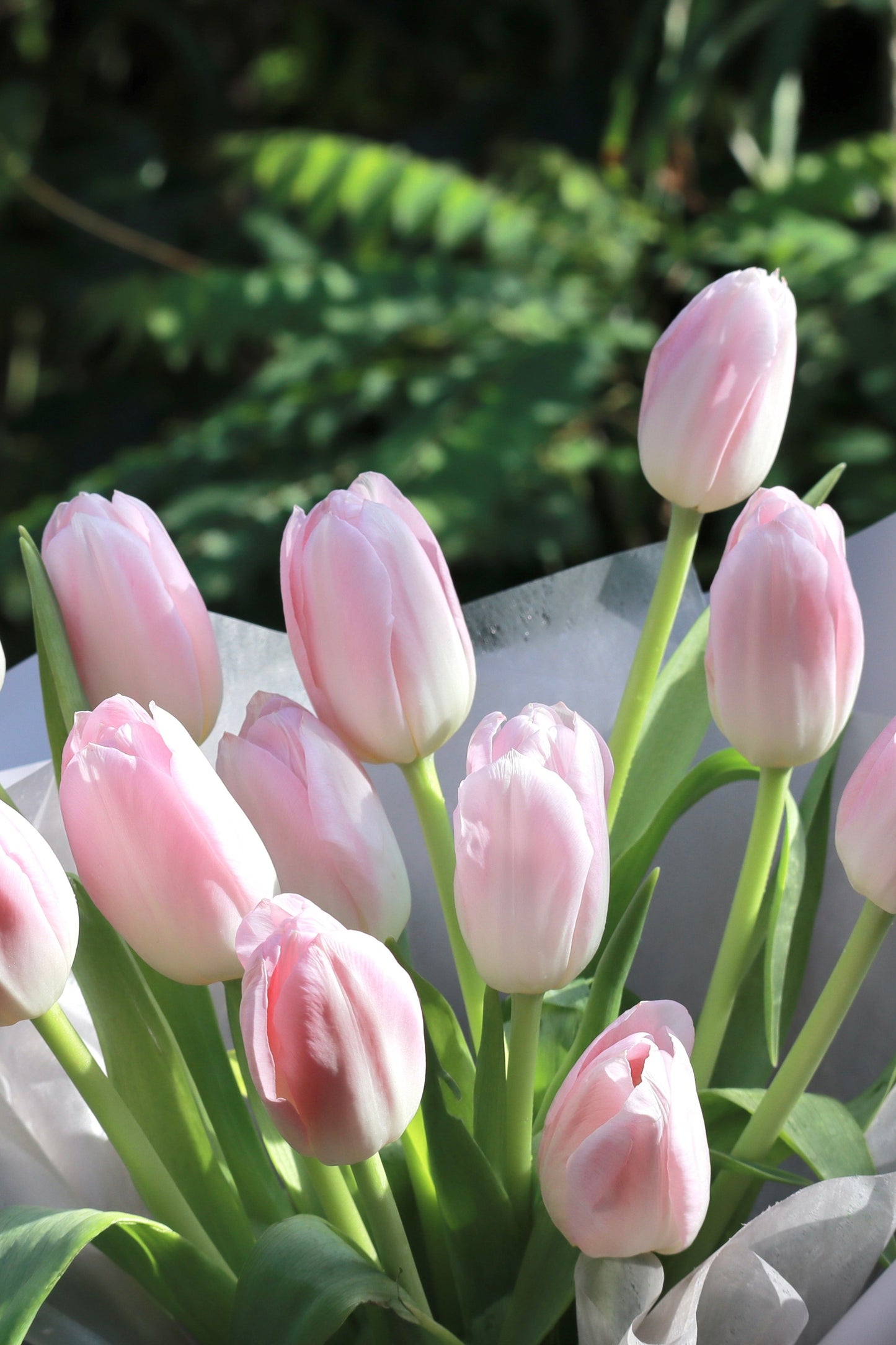 Evermore Pink Tulip Bouquet