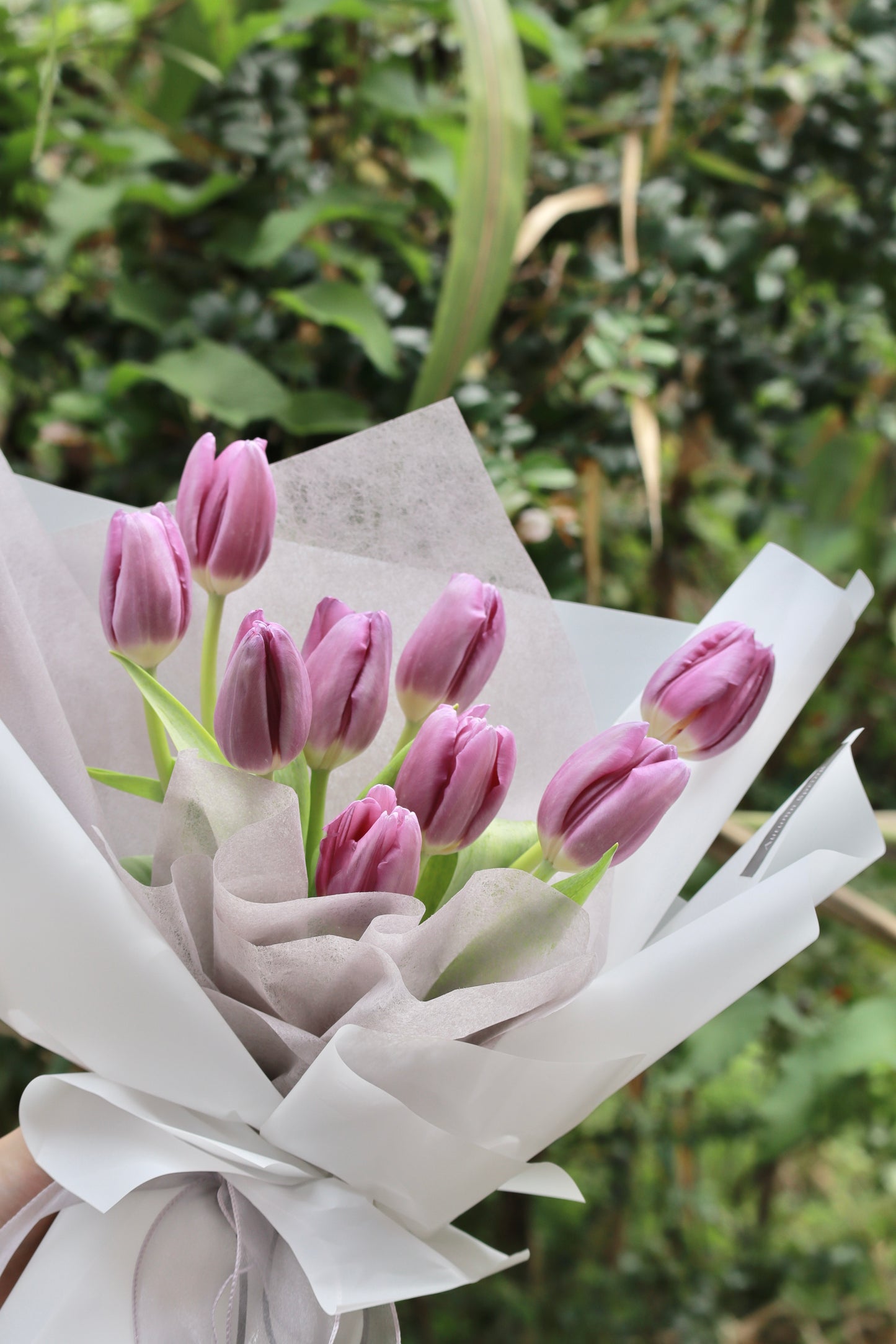 Viola Purple Tulip Bouquet