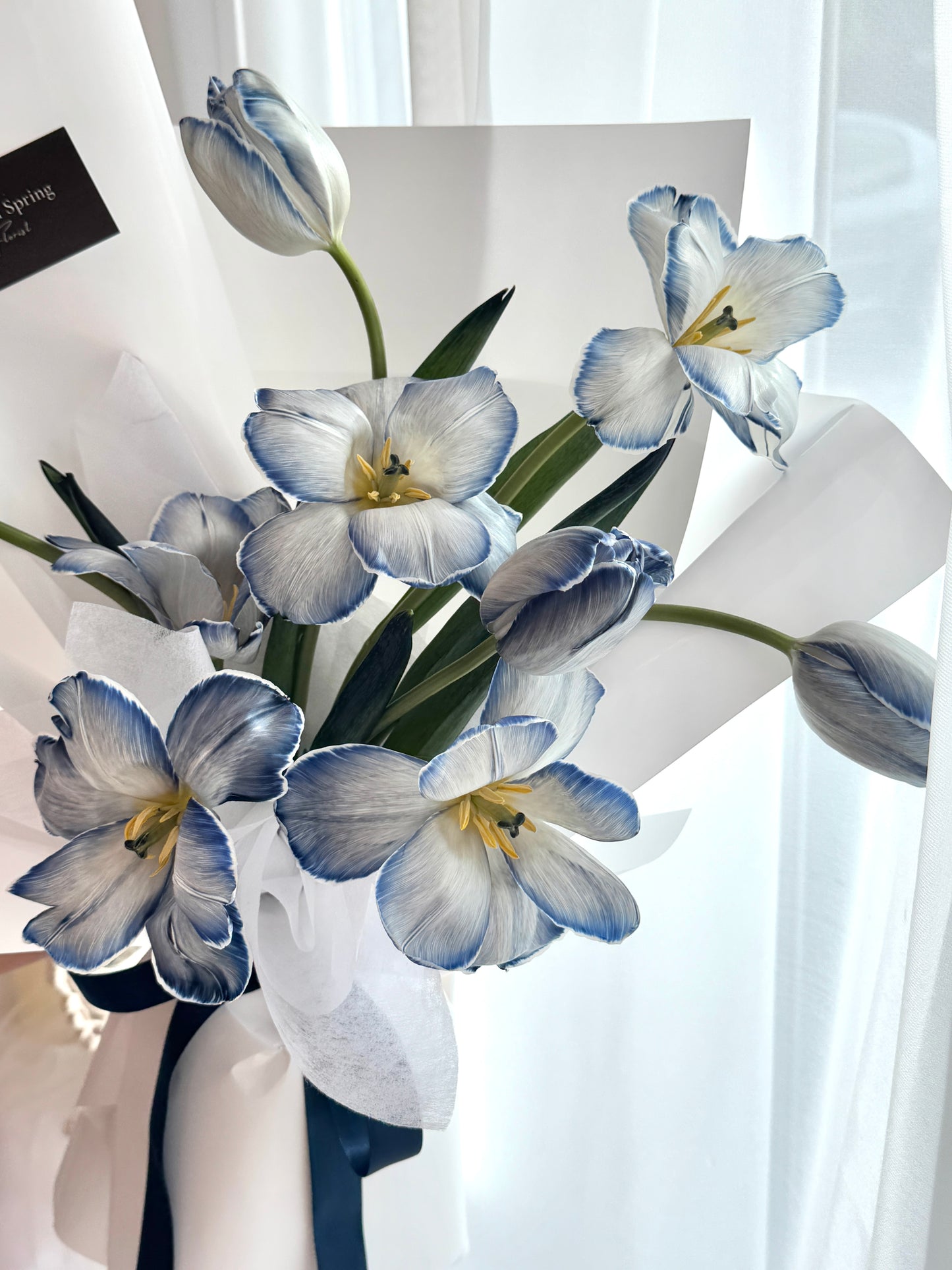 Orean Dyed Blue Tulips Bouquet