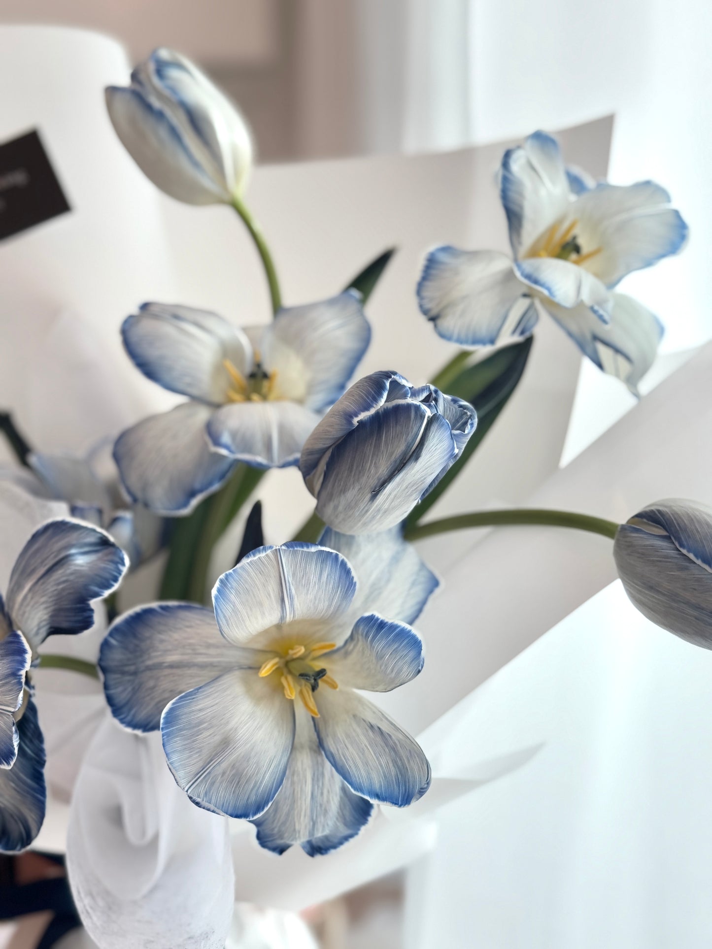 Orean Dyed Blue Tulips Bouquet