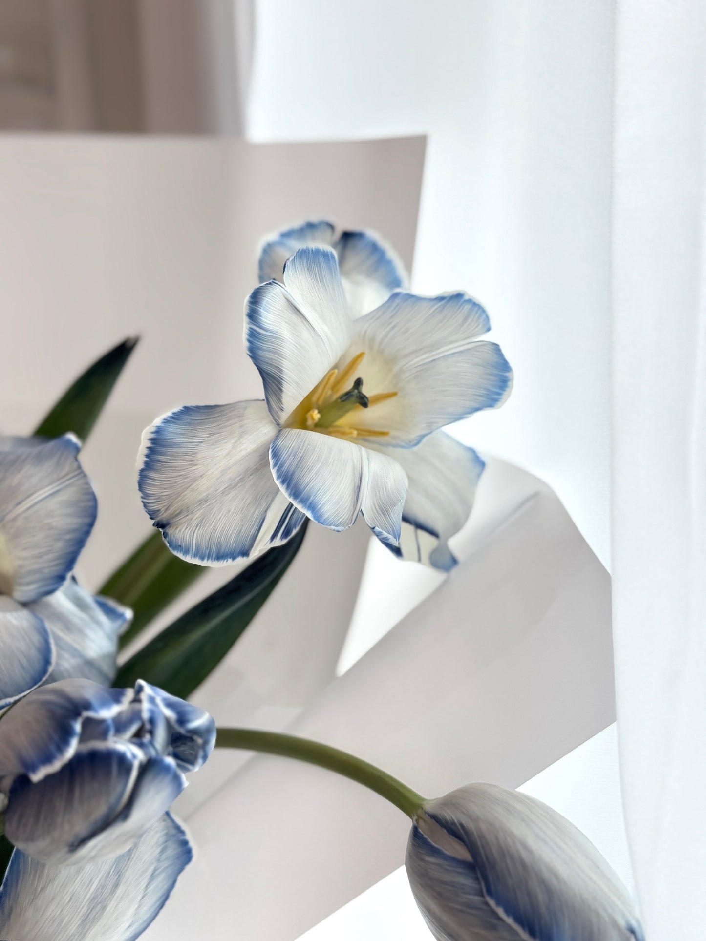 Orean Dyed Blue Tulips Bouquet